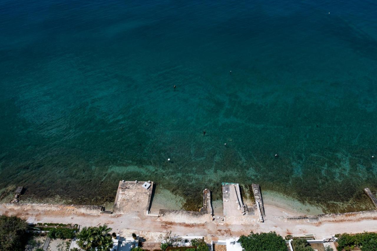 Apartments Vallis Rabiosa Zadar Eksteriør bilde
